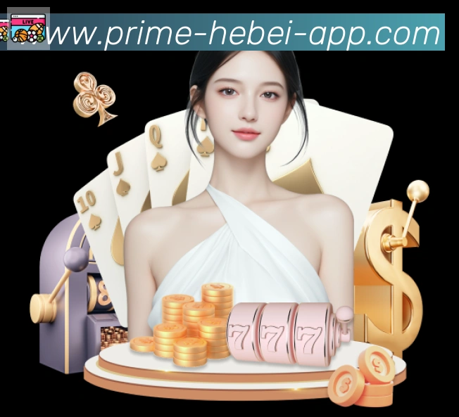 未来规划